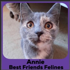 2020-Annie