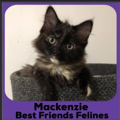 2020-Mackenzie2