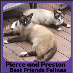 2020-Pierce-and-Preston