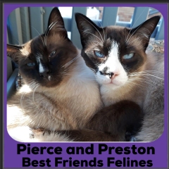 2020-Pierce-and-Preston2