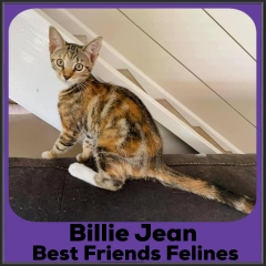 2021-Billy-Jean2