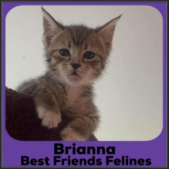 2021-Brianna