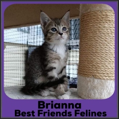 2021-Brianna2