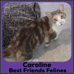 2021-Caroline2
