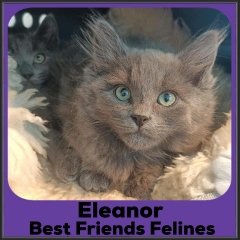 2021-Eleanor