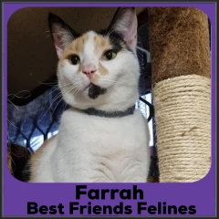 2021-Farrah