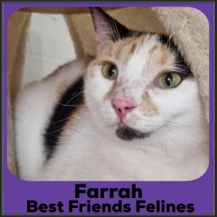 2021-Farrah2