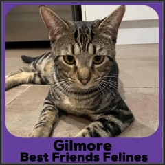 2021-Gilmore3