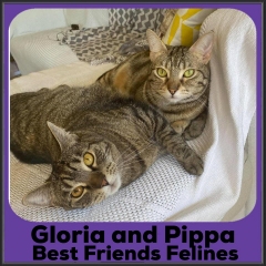 2021-Gloria-Pippa