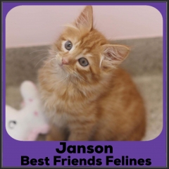 2021-Janson