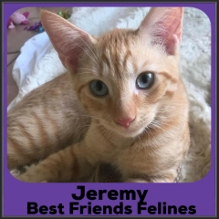 2021-Jeremy