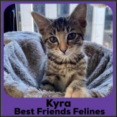 2021-Kyra
