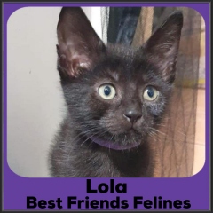 2021-Lola