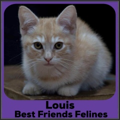 2021-Louis