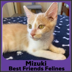 2021-Mizuki