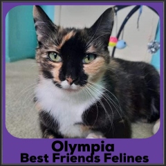 2021-Olympia