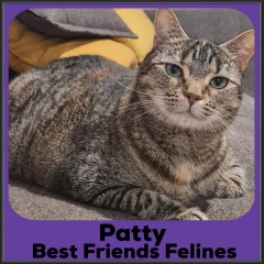 2021-Patty2
