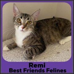 2021-Remi