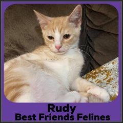 2021-Rudy