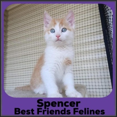 2021-Spencer