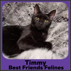 2021-Timmy