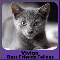 2021-Vivian