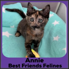 2022-Annie