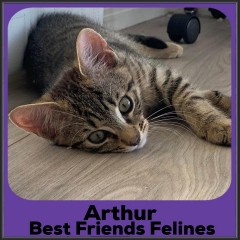 2022-Arthur
