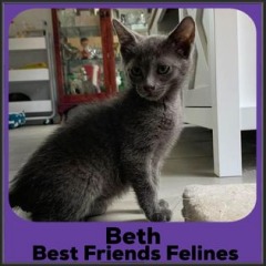 2022-Beth