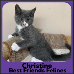 2022-Christine