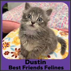 2022-Dustin