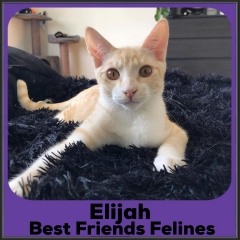 2022-Elijah1
