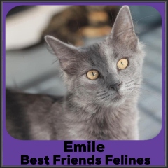 2022-Emile1