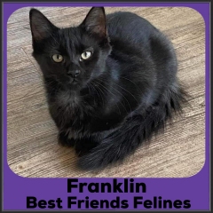 2022-Franklin1