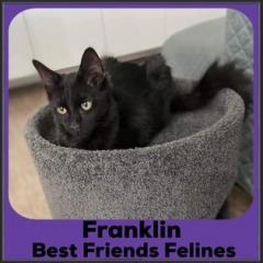 2022-Franklin2
