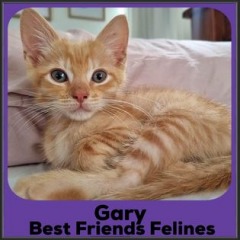 2022-Gary