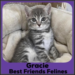 2022-Gracie