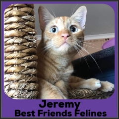 2022-Jeremy-1