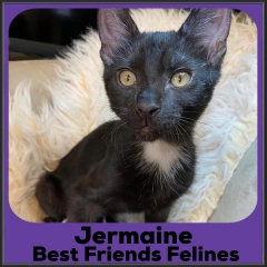 2022-Jermaine