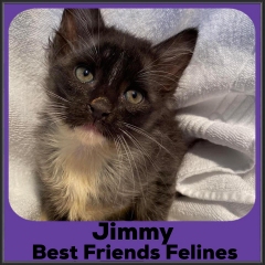 2022-Jimmy