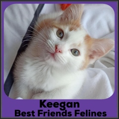 2022-Keegan