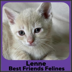 2022-Lenne