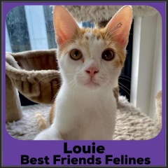 2022-Louie1