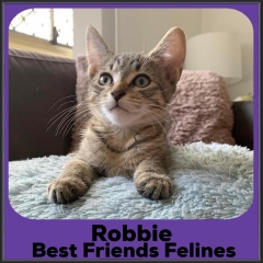 2022-Robbie