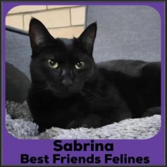 2022-Sabrina2