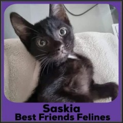 2022-Saskia