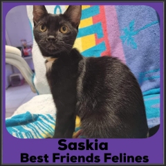 2022-Saskia2