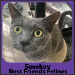 2022-Smokey