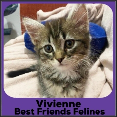 2022-Vivienne