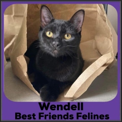 2022-Wendell2